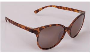 fashion eyewear