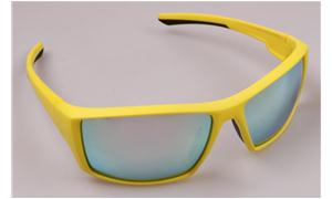 Fishing eyewear
