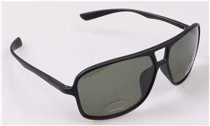 polarized sunglasses